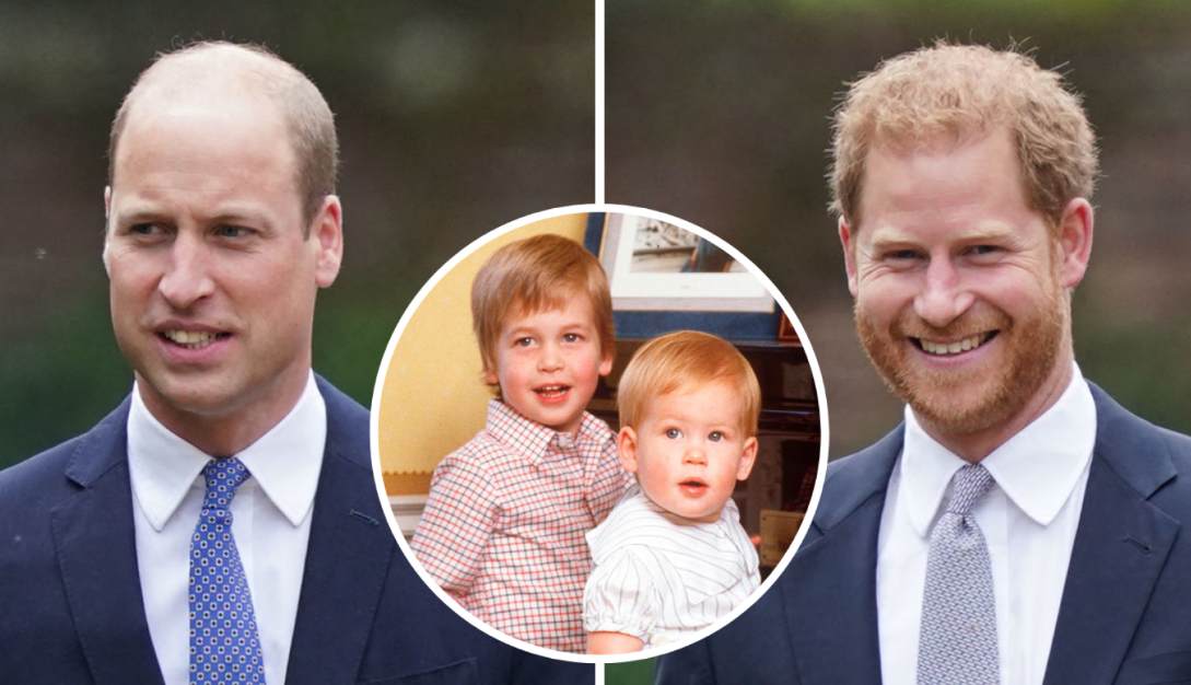 Can you name the two high-profile brothers born to the late, iconic Princess Diana?